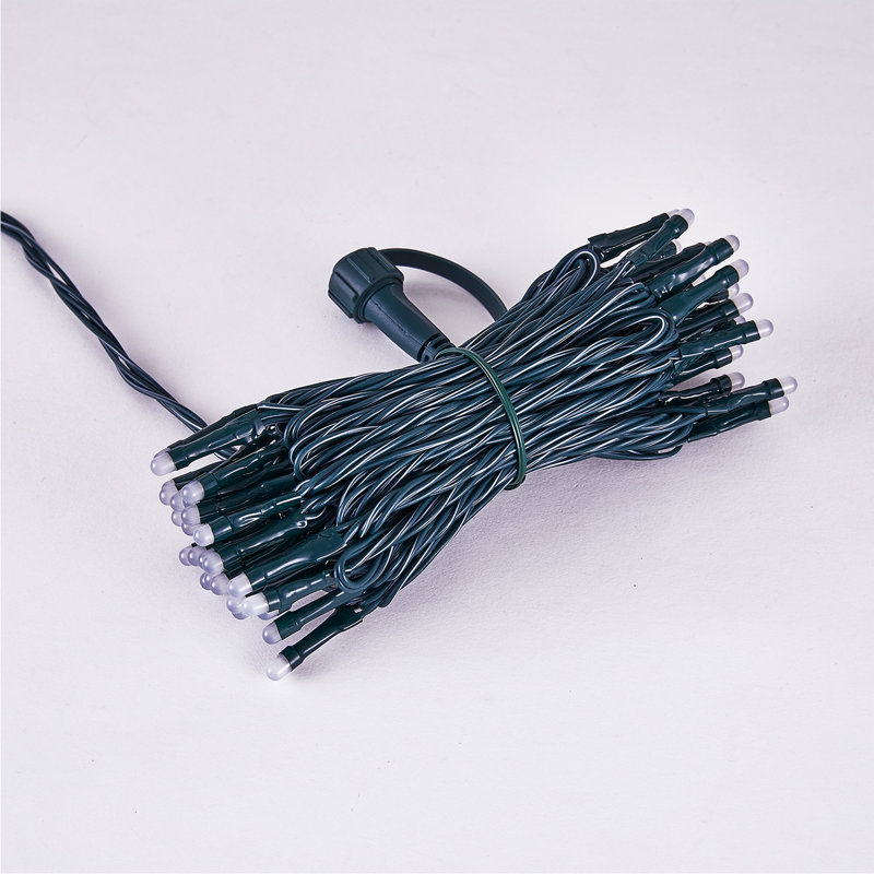 100 - Bulb 314.96'' Plug-in LED Wide Angle LED String Light