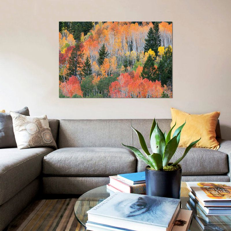 « color automne landscape, wasatch-cache national forest, utah, usa », reproduction de photo sur toile, Toile avec cadre noir