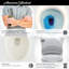 Toilette allongée deux pièces à double chasse American Standard H2Option, hauteur standard, blanc