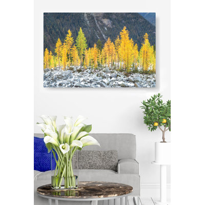 Mélèze alpin, Cascades du Nord, Montagnes, Arbres, Roches, Jaune, Or, Feuillage, Nature, Paysage, Nord-ouest