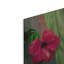 «Hibiscus» par Dennis Frates-154602957