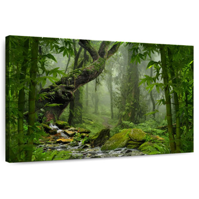 Alvord Ethereal Forest Trail