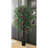 72'' Faux Bougainvillea Tree in Pot-269587321