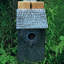11 in x 8 in x 5 in Bluebird House