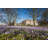 Spring Day In Harrogate With Crocuses by Sjm2 - Wrapped Canvas Print-1599392798