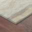 Tapis intérieur / extérieur lavable à la machine Lanphear ACN2397-474736889