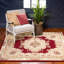 Oriental Area Rug-1879197517