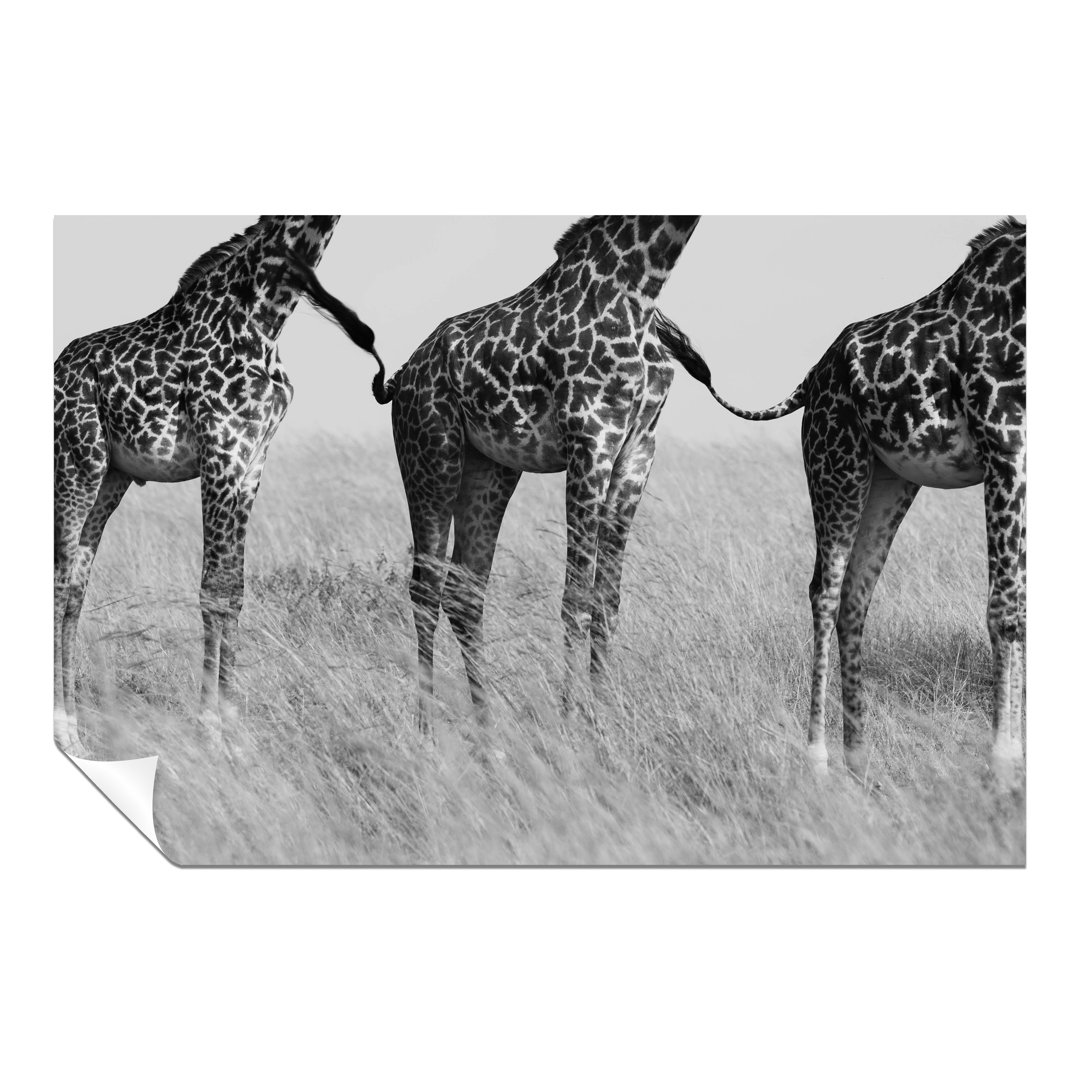 African Safari Giraffe - No Frame Print