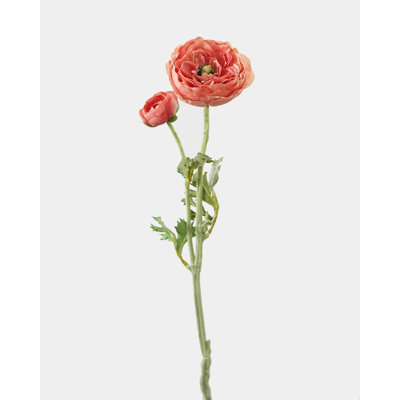 Salmon Pink Ranunculus 19.5"
