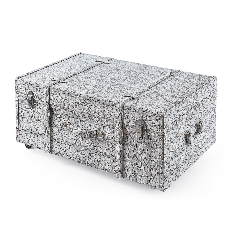 Texture Brand Trunk - Silver Snakeskin