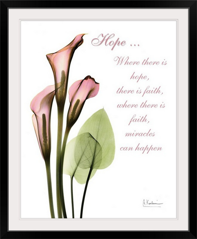Reproduction de photo Manigault "Calla Lily X-Ray" par Kiranjit, H 32 po x l 27 po x P 1 po, Cadre noir