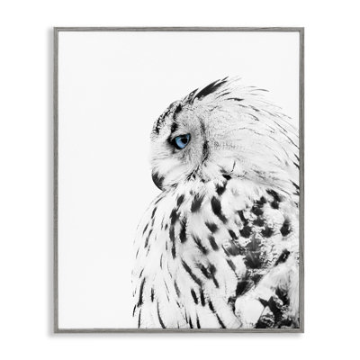 Snow Owl Feathers Peering Blue Eyes by Design Fabrikken - Graphic Art