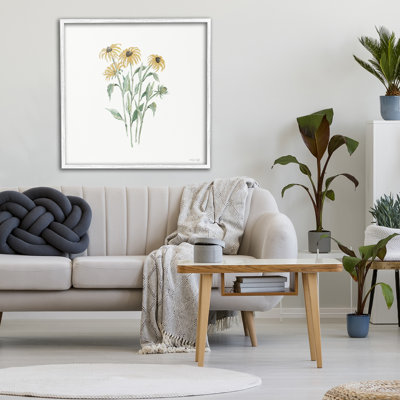 Black-Eyed Susan Botanical Framed Giclee, design by Cindy Jacobs