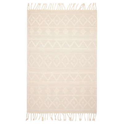 Arsenio Performance Hand Braided Wool Rug