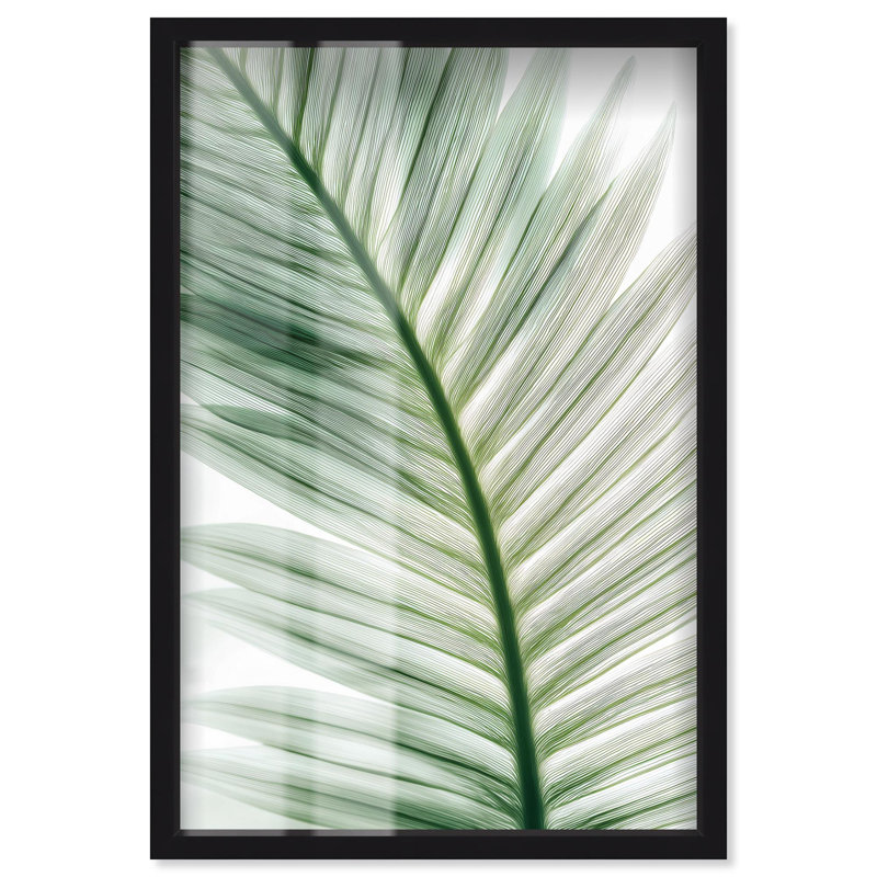 Forêt, filigrane I, boîte aux ombres, art mural côtier par Art Remedy, cadre noir, 31 x 46, 46" H x 31" W, Black Frame
