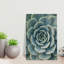 «Succulent Plant», art mural contemporain succulent-1184089379