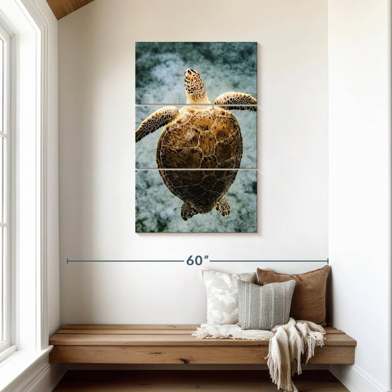 Brampt Virgin Islands Turtle, 45" H x 28" W