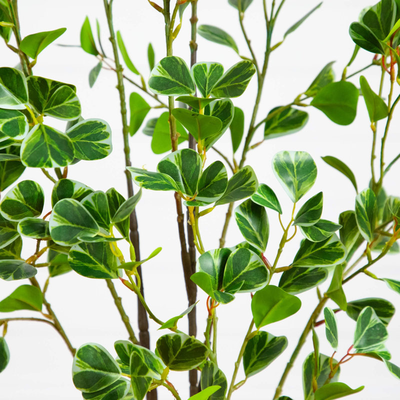 4 pi. Arbre ficus artificiel en forme de cœur