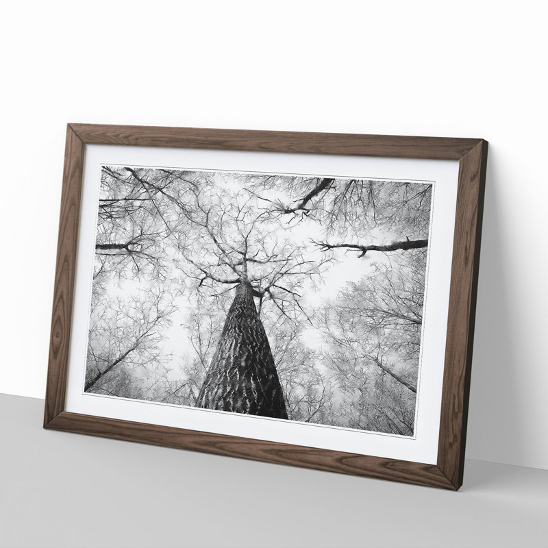 Below the Forest - Picture Frame Painting, Walnut Framed, 27cm H x 36cm W x 2cm D