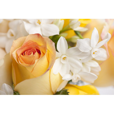Gorgeous Flowers by Tinafields