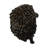 Wildomar Hedgehog Pot Hanger-1840934200