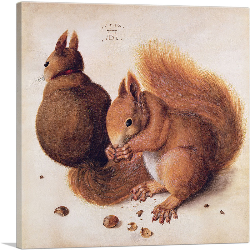«Squirrels 1512» par Albrecht Dürer, reproduction d'art sur toile tendue, H 18 po x l 18 po x 1,5 po