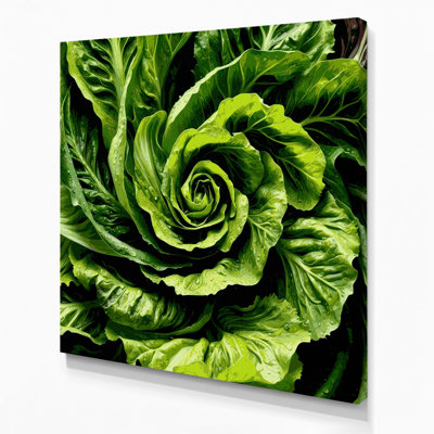 Vegetables Lettuce Romaine Green Canvas Wall Art