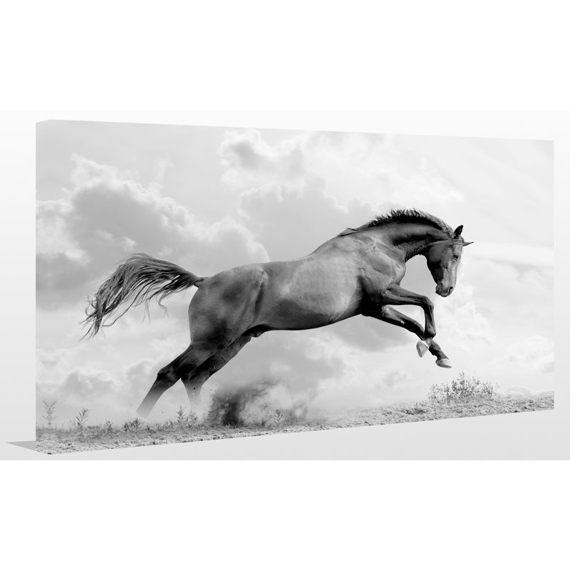 «Flying Horse», reproduction de photo sur toile, H 24 po x l 40 po x P 1 po