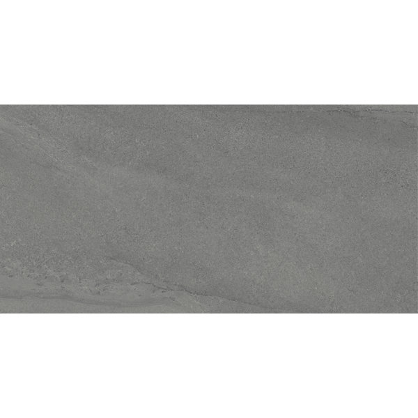 Daltile Calgary 24 x 48 Polished Porcelain Floor Tile (2 PC Per Carton) (15.26 SQFT Per Carton)