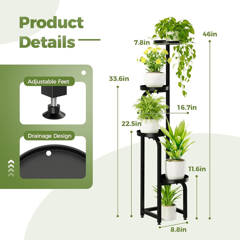 Plant Plant