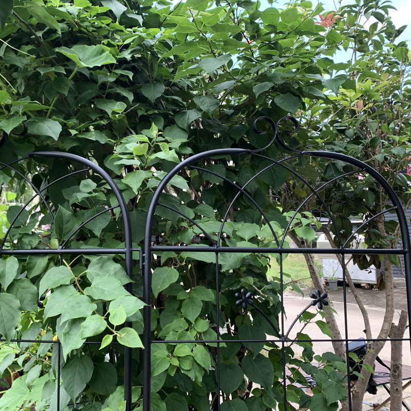 Treillis de jardin Annetta