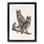Great Horned Owls by John Audubon - Picture Frame Painting Print-55575504-55575506