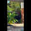 Photos des clients 1 de 1