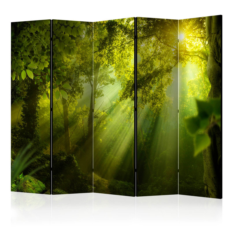 Calloway 172cm H Folding Room Divider, 5