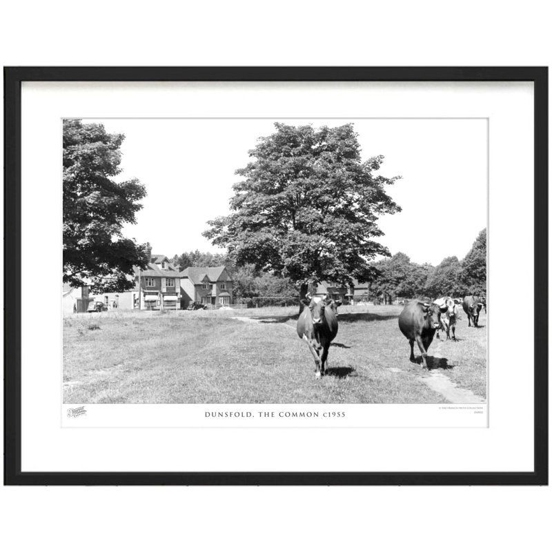 Dunsfold, The Common C1955 by Francis Frith - Single Picture Frame Print, 45cm H x 60cm W x 2.3cm D