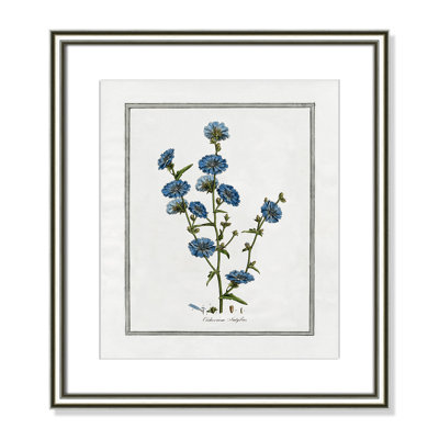 Colombe "Soft Botanical I" Print