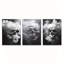 Impression sur toile 3 pièces Dark Smoky Skull - Bold Living Space-811443724
