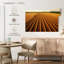 Harnek Wheat Field Lines-111881111