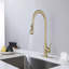 Robinet de cuisine avec douchette extractible-121210027