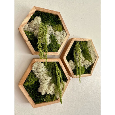 Moss Wall Art