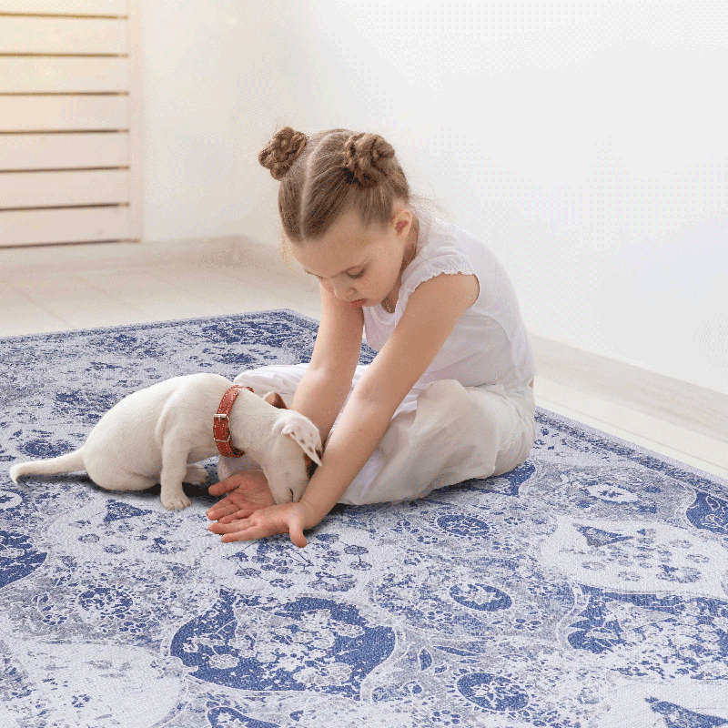 Machine Washable Area Rug – Soft, Pet/kid-friendly Low-pile Decor For Every Space(8' X 10'), Rectangle 8' x 10'