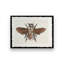 «Bee S croquis 1» par Stellar Design Studio, reproduction d'art-1733112761-1733112766-1733112704