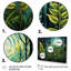 Ferns Plant Serene Reflections I - impression-1551445500-1551445499