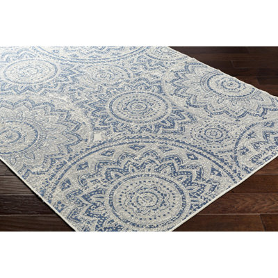 Bien-Aime Blue Outdoor Area Rug