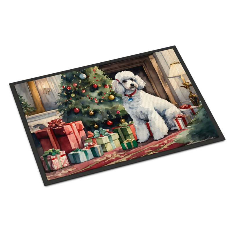 Tapis d'entrée antidérapant Jeniveve, L 18 po x L 27 po