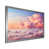 Silver Single Picture Framed