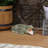 Gattis 18" Weather-Resistant Alligator Garden Statue