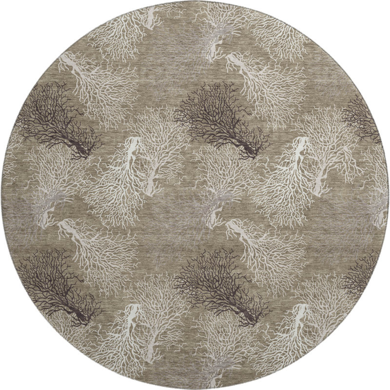  Cerrito Area Rug, Round 8'