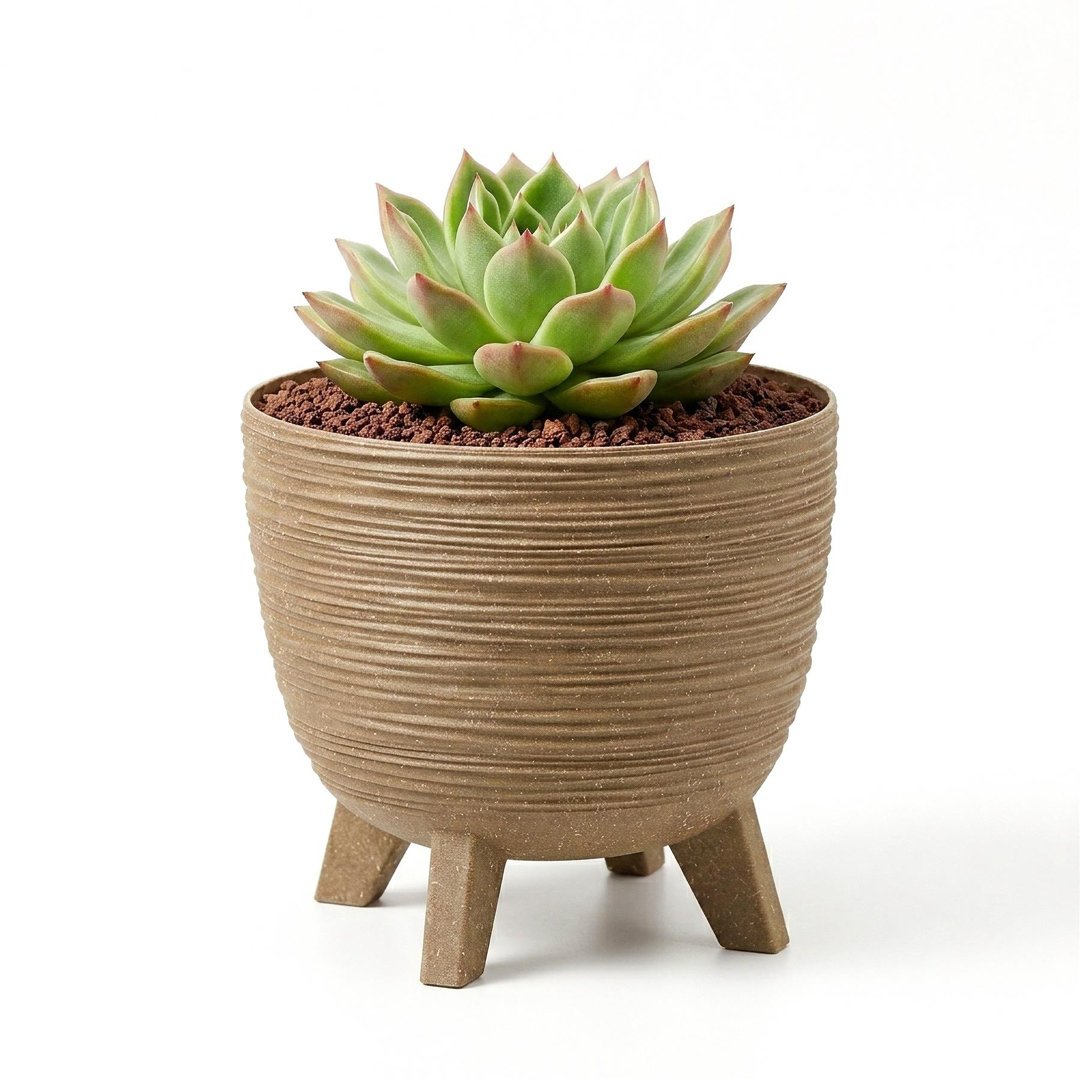 Pot Planter