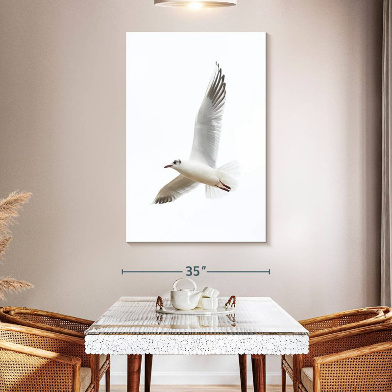 Brampt Flying Kittiwake Gull, 51" H x 34" W